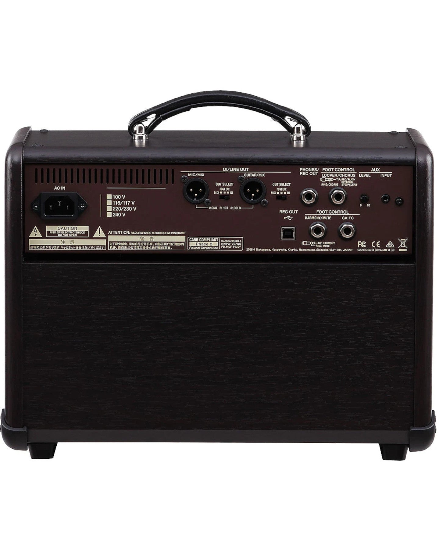 ACS-PRO Acoustic Singer Pro, 120W Acoustic Combo Amp