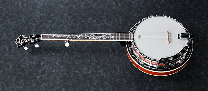 B200 5-String Banjo, Natural, Closed Back