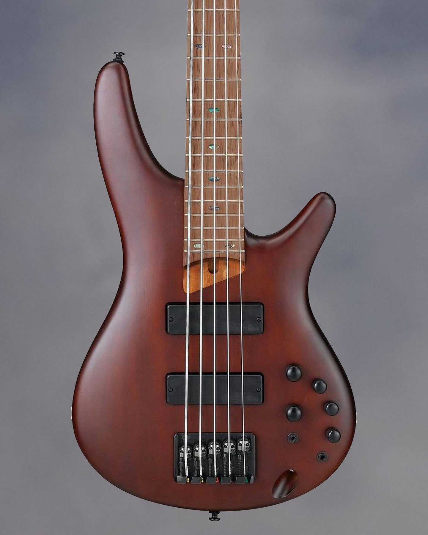 SR505BM 5-String Electric Bass Guitar,