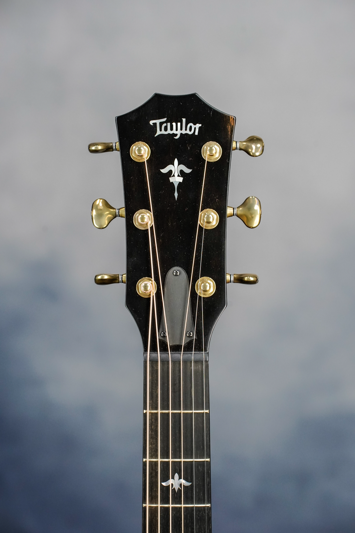 614ce Builders Edition Acoustic Guitar, Natural Top