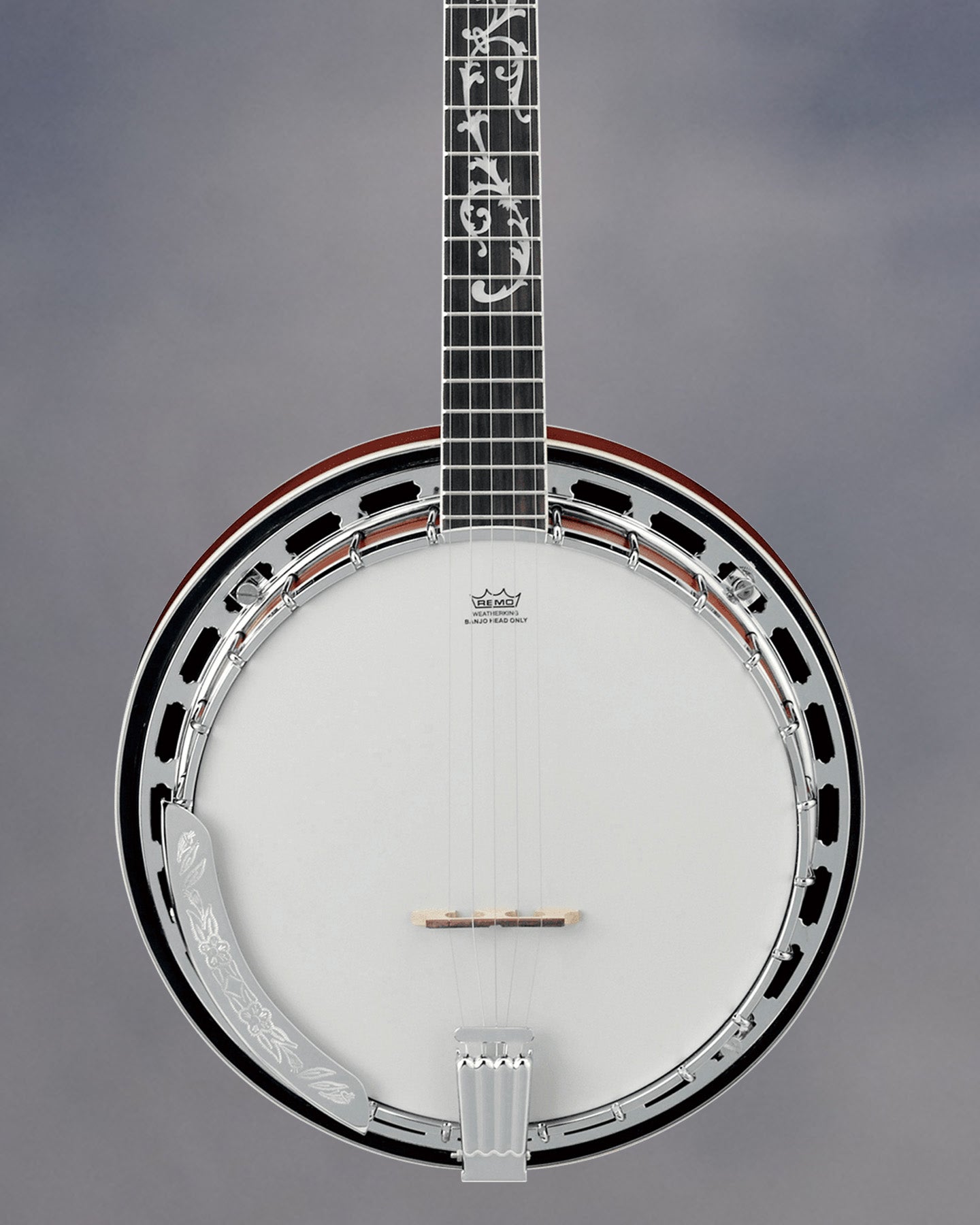 B200 5-String Banjo, Natural, Closed Back
