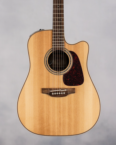 P5DC, Spruce Top, Rosewood back and sides, Nat