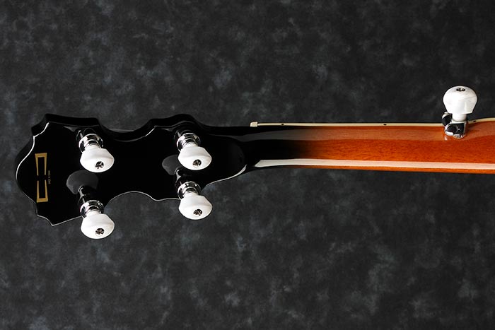 B300 5-String Banjo with Rosewood Resonator