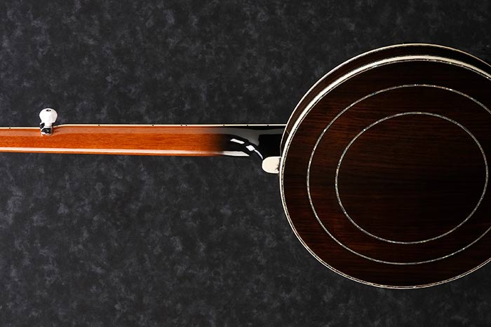 B300 5-String Banjo with Rosewood Resonator