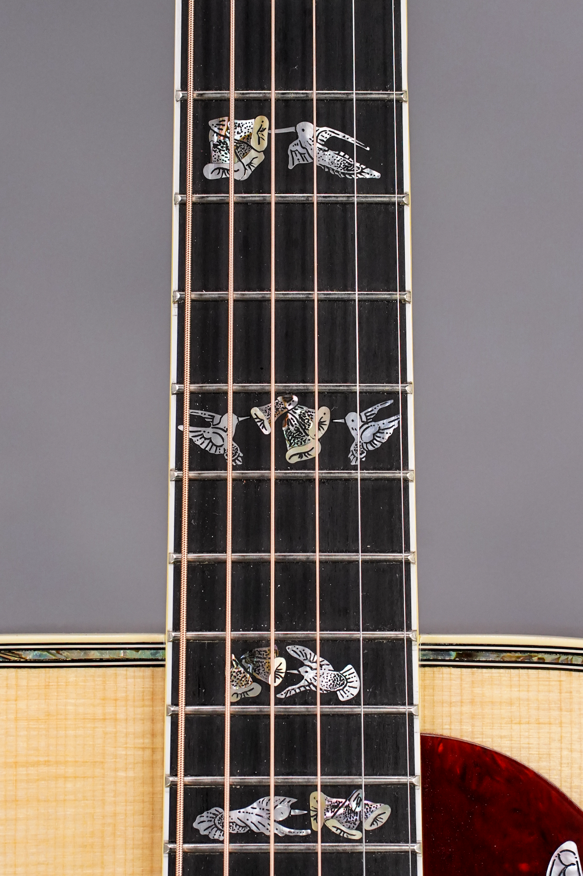 Hummingbird Custom, Koa